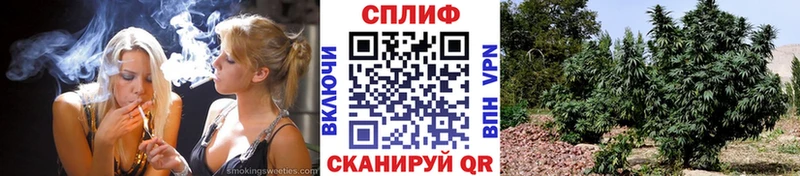 Где купить наркотики Кадников АМФЕТАМИН Галлюциногенные грибы ГАШИШ Марихуана СОЛЬ