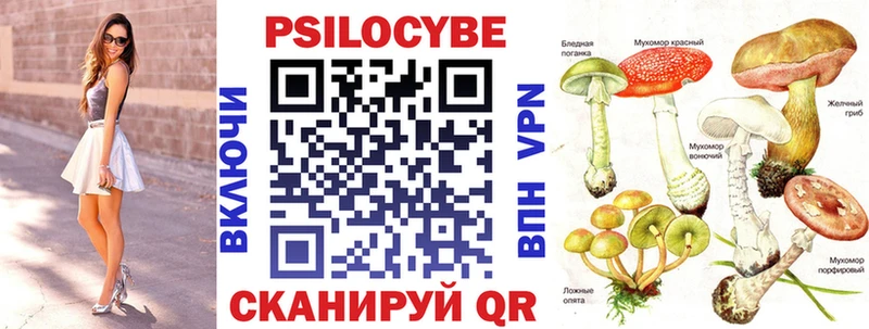Псилоцибиновые грибы Psilocybine cubensis  что такое наркотик  kraken ТОР  Кадников 